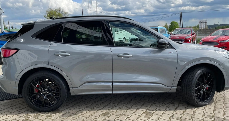 Ford Kuga cena 195000 przebieg: 1, rok produkcji 2023 z Tarnogród małe 436